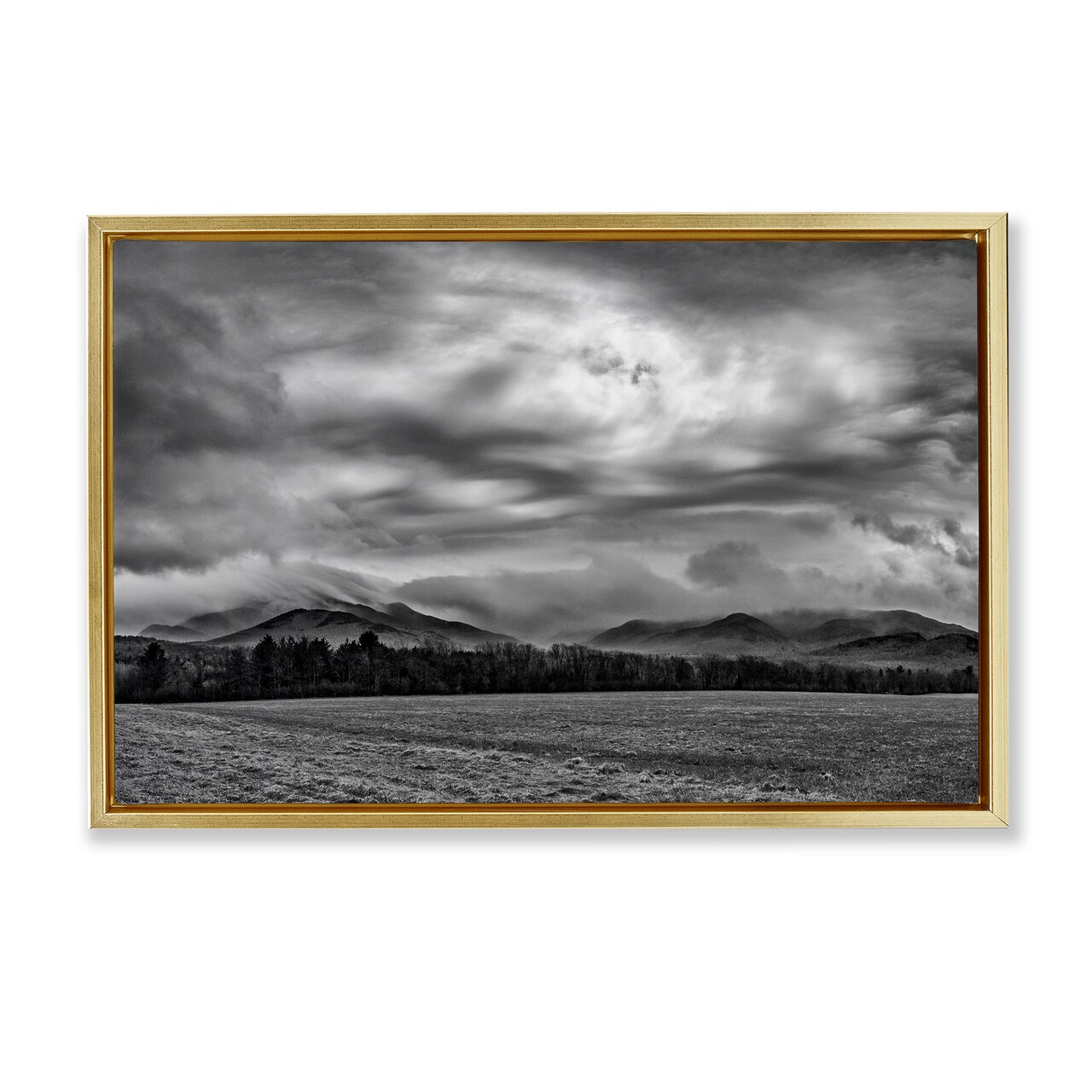 Stupell Industries Distant Cloudy Skies View Floating Frame, design by James Rodewald